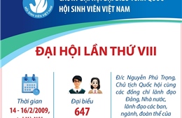 Các kỳ Đại hội Đại biểu toàn quốc Hội Sinh viên Việt Nam: Đại hội lần thứ VIII