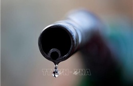 Dự báo thế giới 2024: Giá dầu thô có thể biến động mạnh hơn