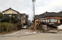 Cuộc sống chật vật của người sống sót sau động đất tại Nhật Bản