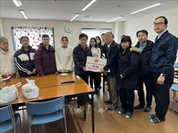 Động đất tại Nhật Bản: Đại sứ quán Việt Nam cử đoàn công tác đến hỗ trợ cộng đồng người Việt