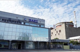 Nga từ chối để IAEA tiếp cận khu vực niêm phong ở nhà máy điện hạt nhân Zaporizhzhia