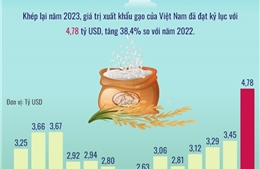 Xuất khẩu gạo đạt kỷ lục 4,78 tỷ USD