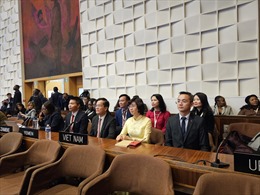 Phái đoàn Việt Nam bên cạnh UNESCO: Nhìn lại một năm sôi động để hướng tới tương lai tươi sáng hơn