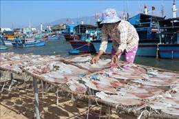 Đa dạng hải sản khô phục vụ Tết Giáp Thìn 