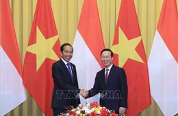 Chủ tịch nước Võ Văn Thưởng hội đàm với Tổng thống Indonesia Joko Widodo