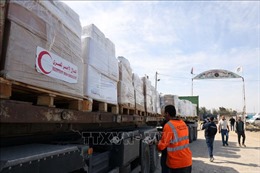 240 xe chở hàng viện trợ nhân đạo đã đi qua các cửa khẩu để vào Gaza