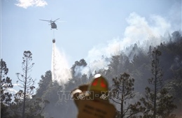 Cháy rừng tiếp tục lan rộng ở Argentina 