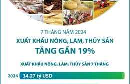 7 tháng năm 2024: Xuất khẩu nông, lâm, thủy sản tăng gần 19%