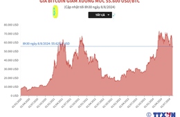 Giá Bitcoin giảm xuống mức 55.600 USD/BTC