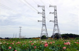 Khánh thành Dự án Đường dây 500kV mạch 3 Quảng Trạch - Phố Nối