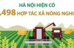 Hà Nội có 1.498 hợp tác xã nông nghiệp