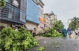 Trận mưa dông lớn chiều 6/9 tại Hà Nội: Tường nhà, cây xanh gãy đổ làm 1 người chết, 4 người bị thương