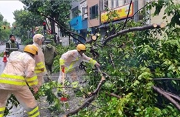 Chiều tối 7/9, khu vực nội đô Hà Nội gió tăng lên cấp 8, giật cấp 10