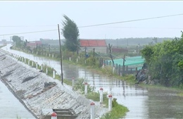 Ứng phó bão số 3: Ninh Bình sẵn sàng tiêu úng bảo vệ lúa 