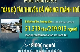 Phòng, chống bão số 3: Toàn bộ tàu thuyền đã vào nơi tránh trú