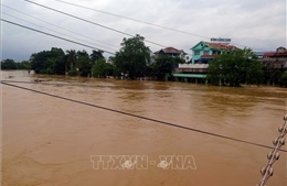 Ba tỉnh, thành phố triển khai hộ đê, đảm bảo an toàn hệ thống đê điều