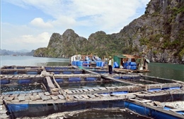 Ban hành Nghị quyết về khắc phục hậu quả bão số 3, đẩy mạnh khôi phục sản xuất kinh doanh 