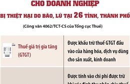 Hướng dẫn miễn, giảm tiền thuế cho doanh nghiệp bị thiệt hại do bão, lũ tại 26 tỉnh, thành phố