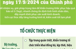 Nghị quyết số 143/NQ-CP ngày 17/9/2024 của Chính phủ: Tổ chức thực hiện