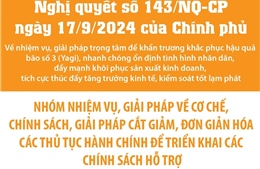 Nghị quyết số 143/NQ-CP: Nhóm nhiệm vụ về cơ chế, giải pháp đơn giản hóa thủ tục hành chính 