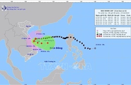Bão số 6 trên vùng biển Quảng Trị đến Quảng Nam với sức gió mạnh cấp 9-10, giật cấp 12