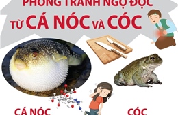 Phòng tránh ngộ độc từ cá nóc và cóc