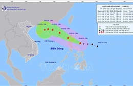 Theo dõi chặt chẽ diễn biến bão Toraji, chủ động ứng phó