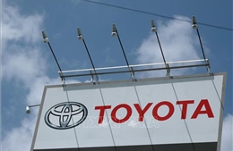 Cháy nhà máy Toyota ở Nhật Bản buộc công nhân phải sơ tán