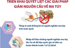 Triển khai quyết liệt các giải pháp giảm nguồn cầu về ma túy