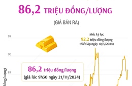 Vàng SJC sáng 21/11 có giá 86,2 triệu đồng/lượng