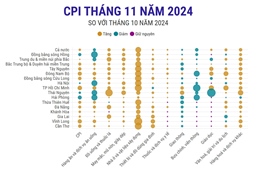 Chỉ số CPI chung cả nước tháng 11/2024 tăng 0,13%