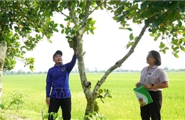 Tín dụng chính sách - trợ lực phát triển kinh tế cho người dân