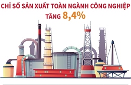 11 tháng năm 2024: Chỉ số sản xuất toàn ngành công nghiệp tăng 8,4%