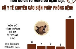 Bộ Y tế khuyến cáo biện pháp phòng bệnh dại