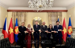 Việt Nam đi đầu thúc đẩy các mặt hoạt động của Ủy ban ASEAN tại Praha