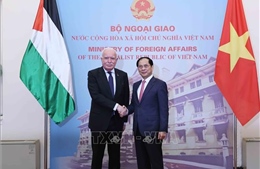 Phó Thủ tướng Bùi Thanh Sơn tiếp Đặc phái viên của Tổng thống Palestine