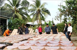 Vĩnh Long: Sẵn sàng đón khách dịp Tết dương lịch