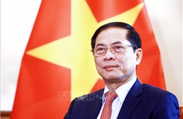 Đối ngoại Việt Nam năm 2024: Tích cực, chủ động góp phần tạo đà đưa đất nước bước vào kỷ nguyên mới