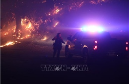 Gió mạnh làm tăng nguy cơ bùng phát các đám cháy mới ở Los Angeles