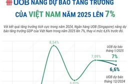 Ngân hàng UOB nâng dự báo tăng trưởng GDP Việt Nam năm 2025 lên 7%