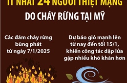 Ít nhất 24 người thiệt mạng do cháy rừng tại Mỹ