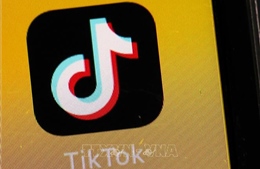 TikTok lần đầu tiên đạt doanh thu IAP lên tới 6 tỷ USD