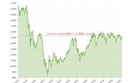 Phiên 24/1/2025: VN-Index tăng hơn 5 điểm