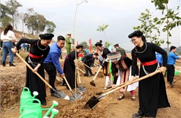 Trung ương Đoàn phát động Tết trồng cây &#39;Đời đời nhớ ơn Bác Hồ&#39; Xuân Ất Tỵ