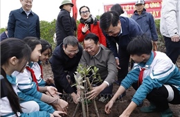 Chung tay bảo vệ, phát triển rừng, bảo tồn thiên nhiên và đa dạng sinh học