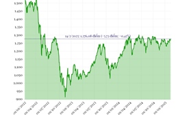 Phiên 14/2/2025: VN-Index tăng gần 6 điểm