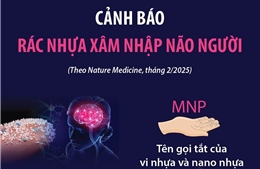 Cảnh báo rác nhựa xâm nhập não người