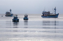 Ngăn chặn, chấm dứt tình trạng tàu cá vi phạm khai thác IUU