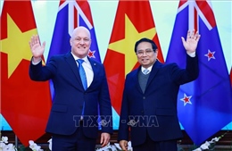 Thủ tướng Phạm Minh Chính và Thủ tướng New Zealand hội đàm