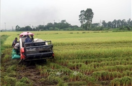 Từ miền &#39;quê lúa&#39; đến điểm sáng phát triển của vùng Đồng bằng Bắc Bộ